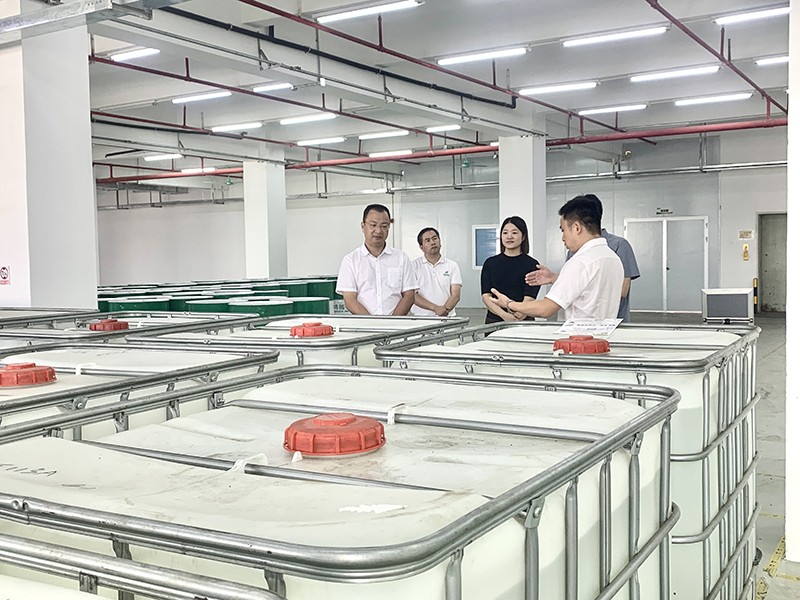 政企连心·共促发展|东莞市东城区政府领导莅临YY易游m6米乐新材参观指导